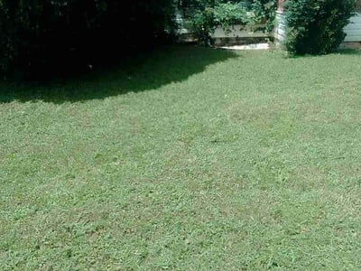 Lawn Care service in Homewood, 35209