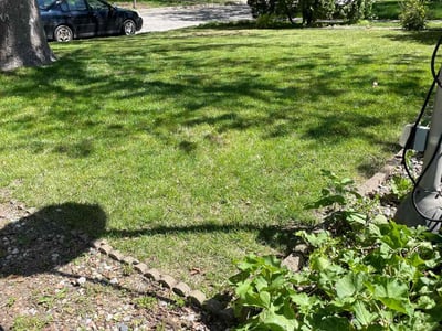 Lawn Care service in Lincoln, 95648