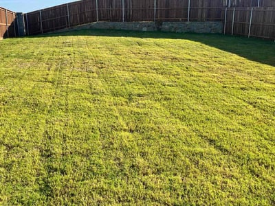 Lawn Care service in El Cajon, 92020