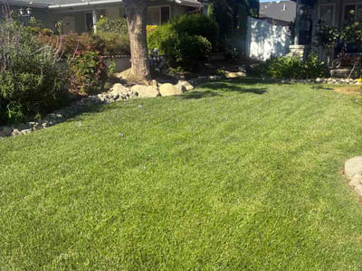 Lawn Care service in Barstow, 92311