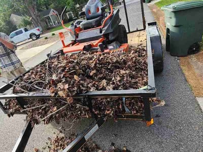 Lawn Care service in Owens Cross Roads, 35763