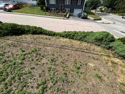Leaf Removal service in Portland, 4101