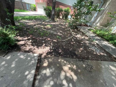 Leaf Removal service in St. Petersburg, 33701