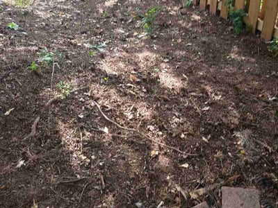Leaf Removal service in Warner Robins, 31088