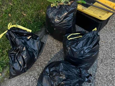 Leaf Removal service in Inverness, 34452