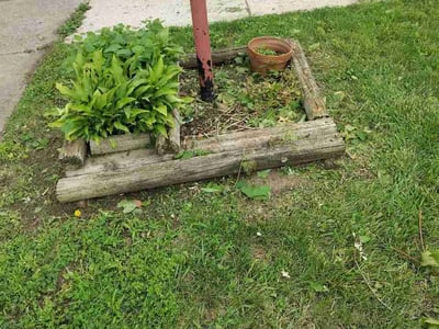 Leaf Removal service in Maple Grove, 55311