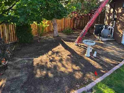 Leaf Removal service in Lutz, 33549