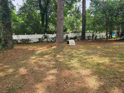 Leaf Removal service in Norman, 73069