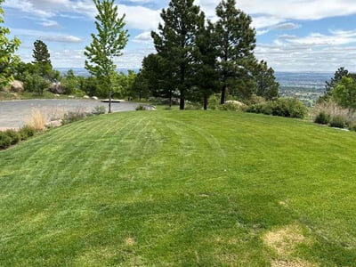 Lawn Care service in ,