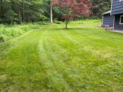 Lawn Care service in Simsbury, 06070