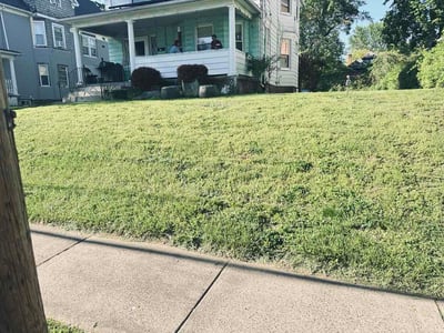 Lawn Care service in Simsbury, 06070