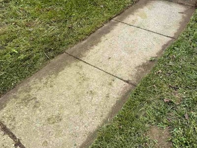 Leaf Removal service in Ellicott City, 21043