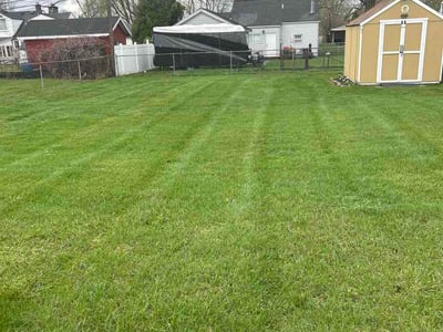 Lawn Care service in Westland, 48185
