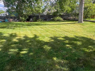 Lawn Care service in Littleton, 80120