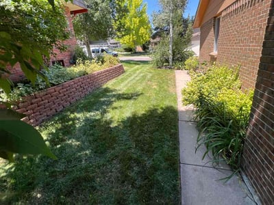 Lawn Care service in Littleton, 80120
