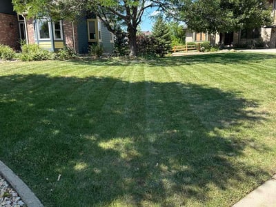 Lawn Care service in Broomfield, 80020