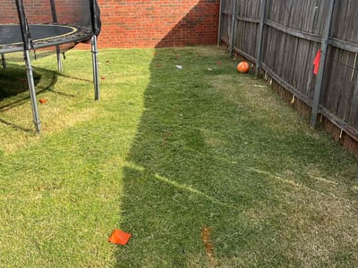 Lawn Care service in Ridgefield, 06877