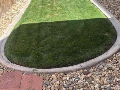 Lawn Care service in Aurora, 80011
