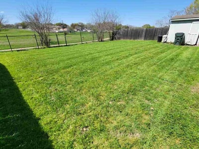 Lawn Care service in Buda, 78610