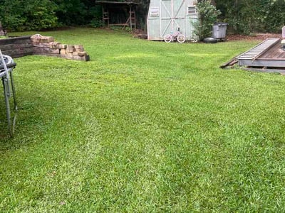 Lawn Care service in Greenville, 29601