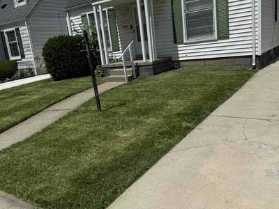 Lawn Care service in Harper Woods, 48225