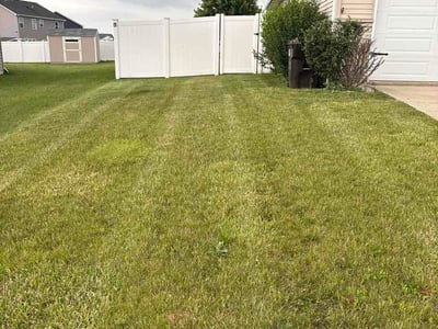 Lawn Care service in Demotte, 46310