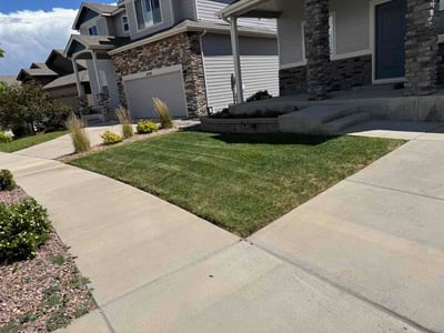 Lawn Care service in Monument, 80132