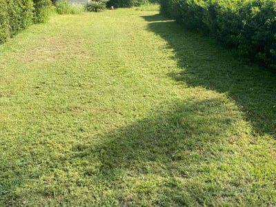Lawn Care service in El Cajon, 92020