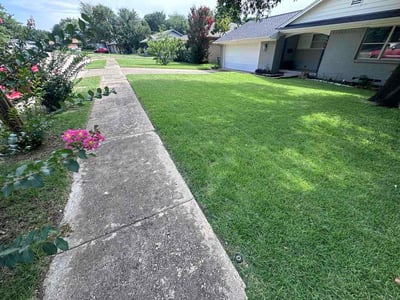 Lawn Care service in Desoto, 75115