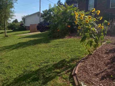 Lawn Care service in Lenoir City, 37771