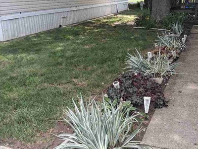 Lawn Care service in Granite Bay, 95746