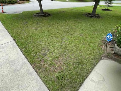 Lawn Care service in Elgin, 29045