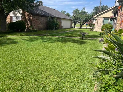 Lawn Care service in Argyle, 76226