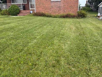 Lawn Care service in Rosedale, 21237