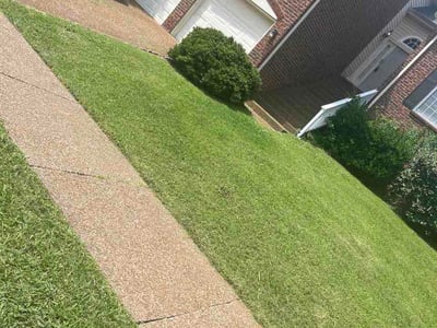 Lawn Care service in Antioch, 37013