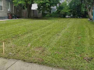Lawn Care service in Covington, 41011