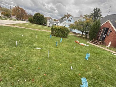 Lawn Care service in Euclid, 44123