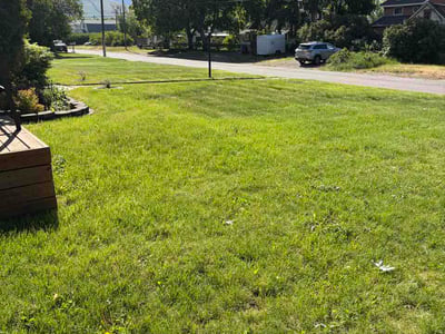 Lawn Care service in Missoula, 59802