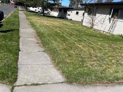 Lawn Care service in Wenatchee, 98801
