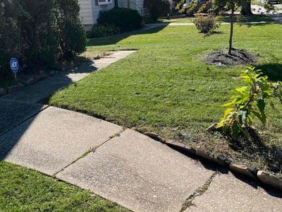 Lawn Care service in Havre De Grace, 21078