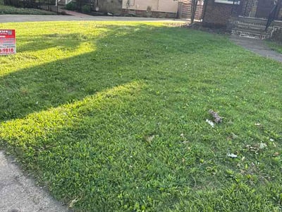 Lawn Care service in Rocky River, 44116