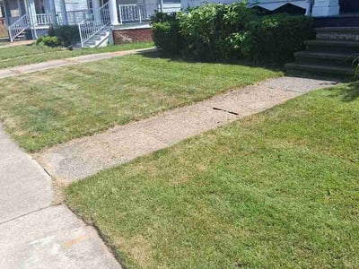 Lawn Care service in Rocky River, 44116