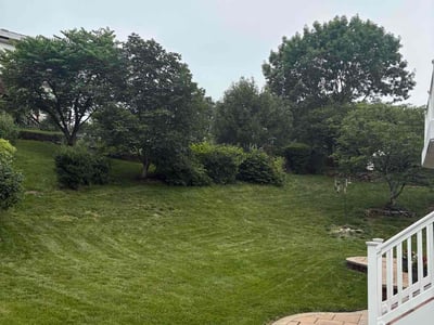 Lawn Care service in Abingdon, 21009