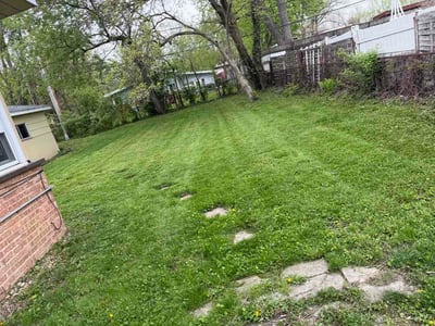 Lawn Care service in Park Forest, 60466