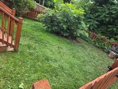 Lawn Care service in Williamston, 29697