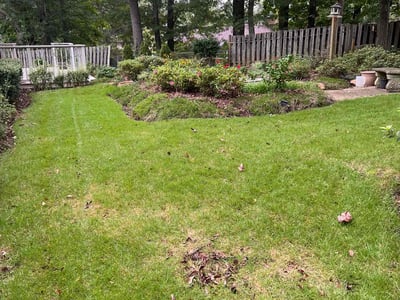Lawn Care service in Williamston, 29697