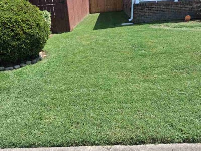 Lawn Care service in Danville, 24541