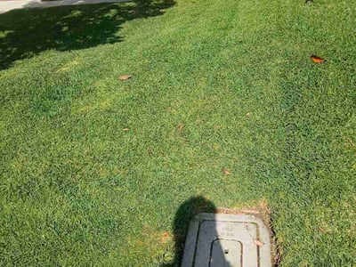 Lawn Care service in Tustin, 92780