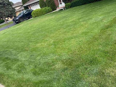 Lawn Care service in Crest Hill, 60403