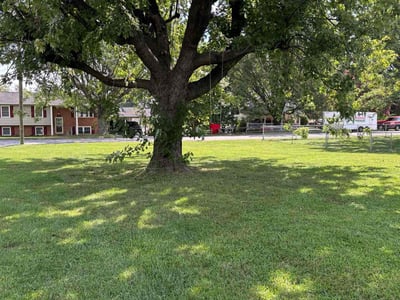 Lawn Care service in Harrisonburg, 22802
